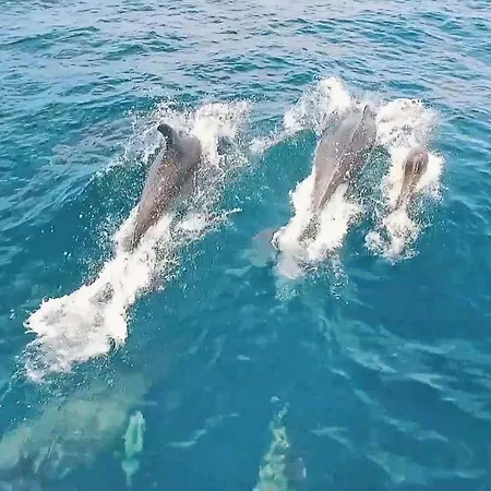 Ushuaia By Algarve Vacation ヴィラ